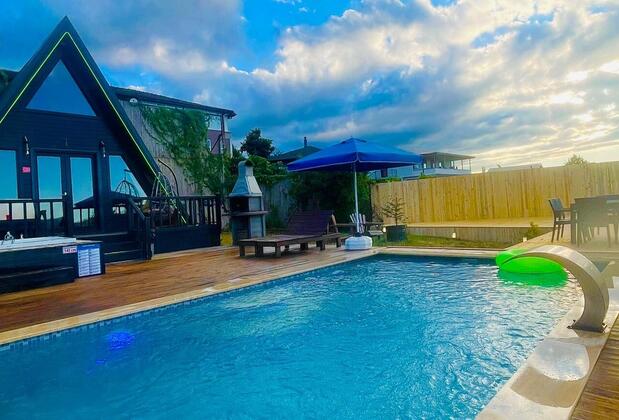 Sapanca Petunya - Görsel 15