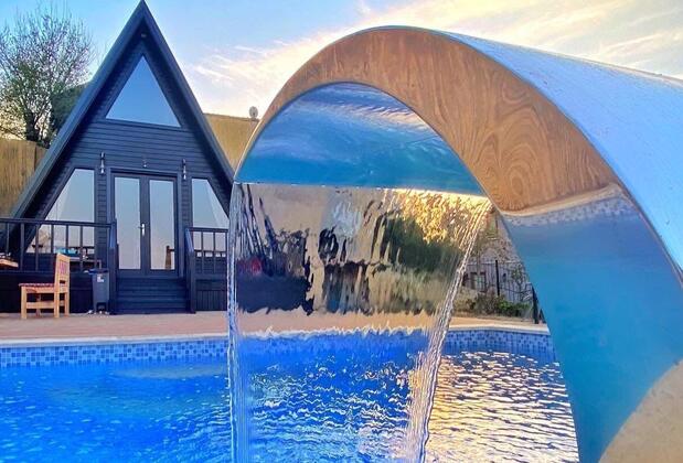 Sapanca Petunya - Görsel 12