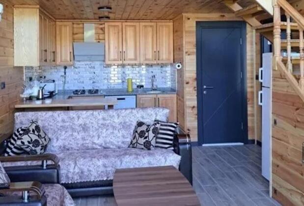 Sapanca Ajar Villa - Görsel 7