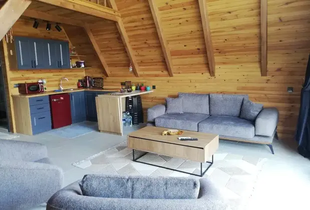 Sapanca Astr Bungalov - Görsel 4
