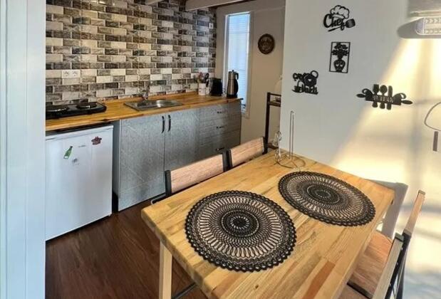 Sapanca Mavi  Bungalov - Görsel 9