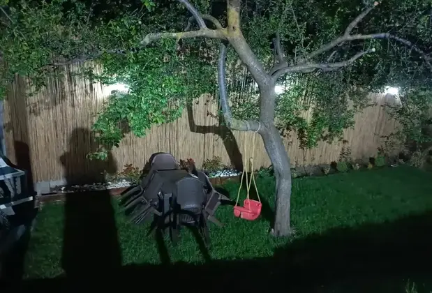 Sapanca Meh Villa - Görsel 10