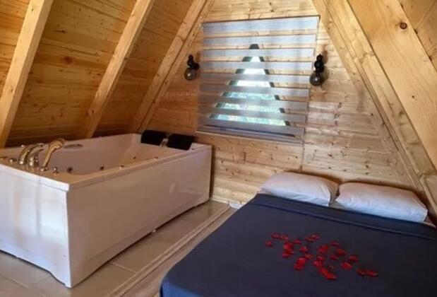 Sapanca Arma Bungalov - Görsel 4