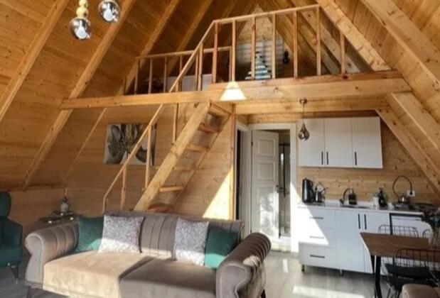 Sapanca Arma Bungalov - Görsel 5