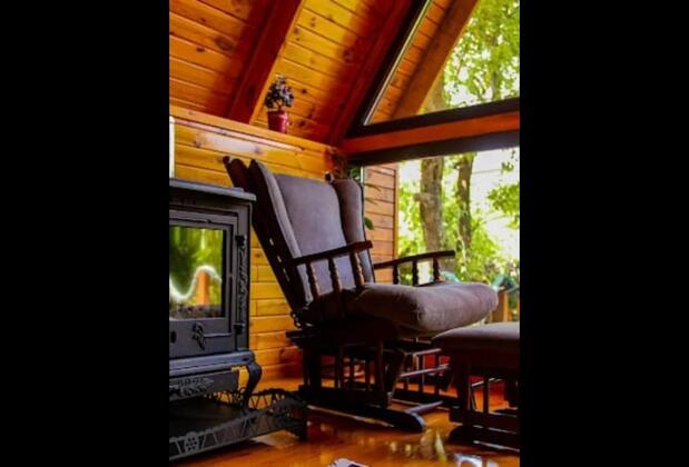 Sapanca Çam Bungalov - Görsel 6