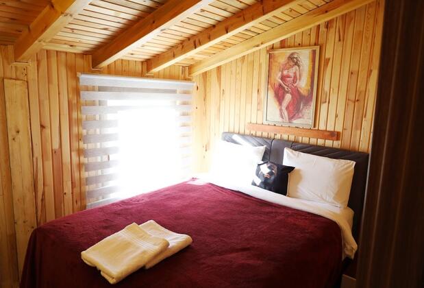 Sapanca Doga Evleri - Görsel 9