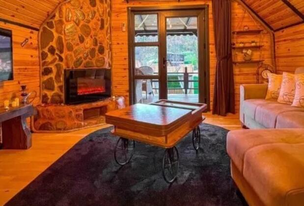 Sapanca Nazbun1 Bungalov - Görsel 5