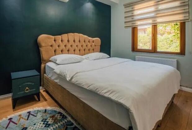 Sapanca Neph Villa - Görsel 4