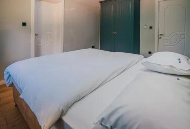 Sapanca Neph Villa - Görsel 5