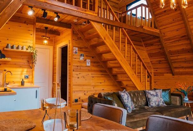 Sapanca Nevb1 Bungalov - Görsel 6