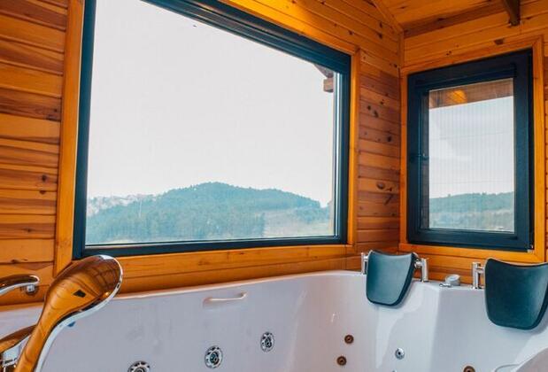 Sapanca Nevb2 Bungalov - Görsel 10