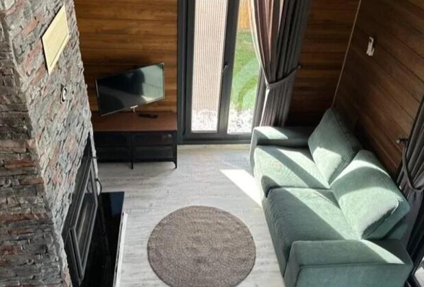 Sapanca Ohov Agac Villa - Görsel 5