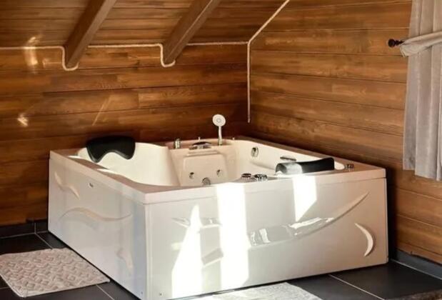 Sapanca Ohov Agac Villa - Görsel 6