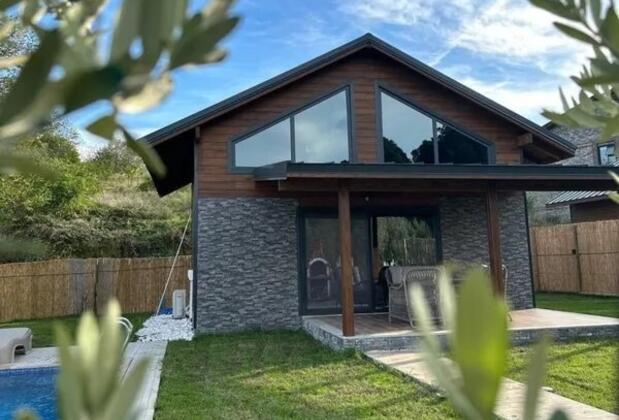 Sapanca Ohov Agac Villa - Görsel 9