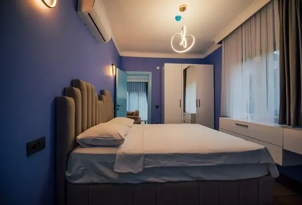 Sapanca Turk Villa - Görsel 6