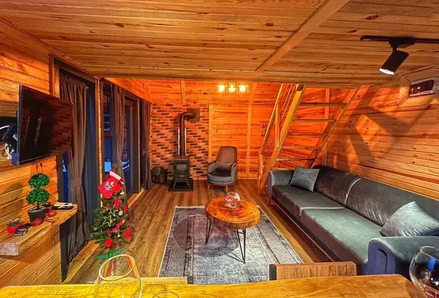 Sapanca Sub Bungalov - Görsel 5