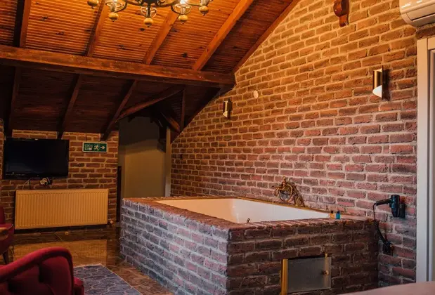 Sapanca Zois Villa - Görsel 9