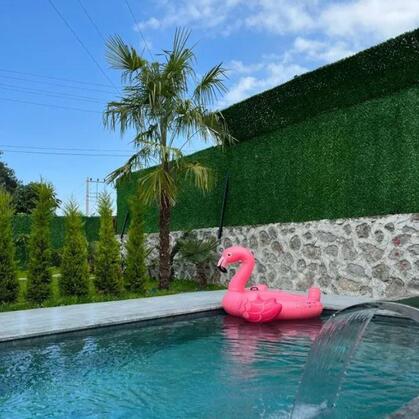 Shino Luxury Resort - Görsel 4