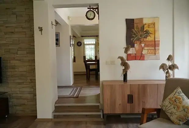 Sapanca Villa Ortanca - Görsel 9