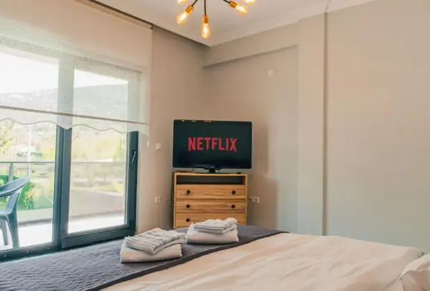 Villove Sapanca - Görsel 4