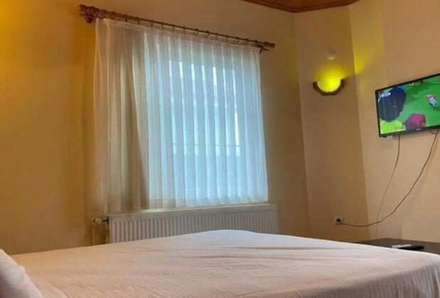 Sapanca Yasevil Villa - Görsel 3