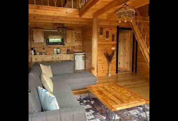 Sapanca Vivalavida - Görsel 11