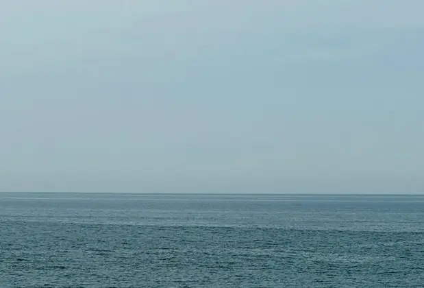 Airport Black Sea Hotel & Restaurant - Görsel 3