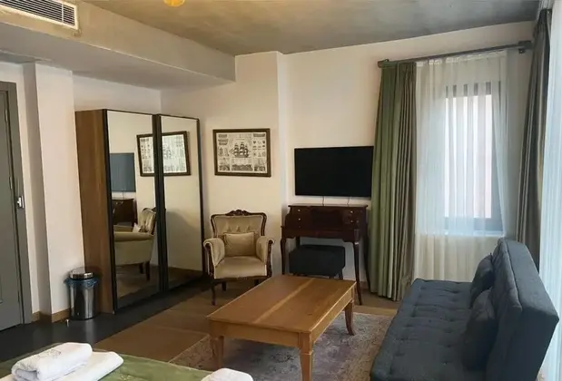 Aleksandr Pera Hotel - Görsel 15