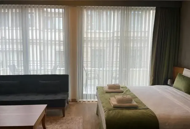 Aleksandr Pera Hotel - Görsel 16