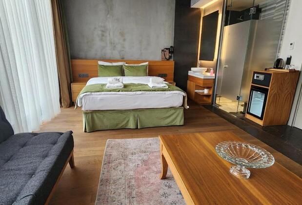 Aleksandr Pera Hotel - Görsel 18