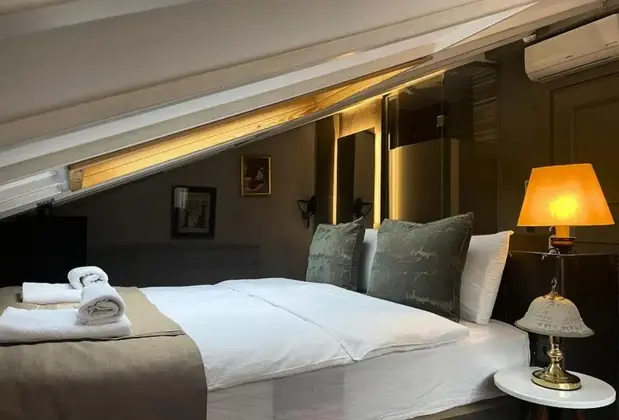 Aleksandr Pera Hotel - Görsel 19