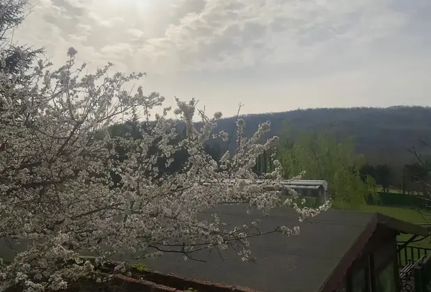 Hermes Country Club - Görsel 6