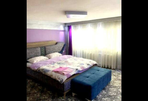 Flamingo Suit - Görsel 13