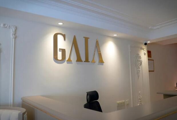 Gaia Suites Istanbul - Görsel 11