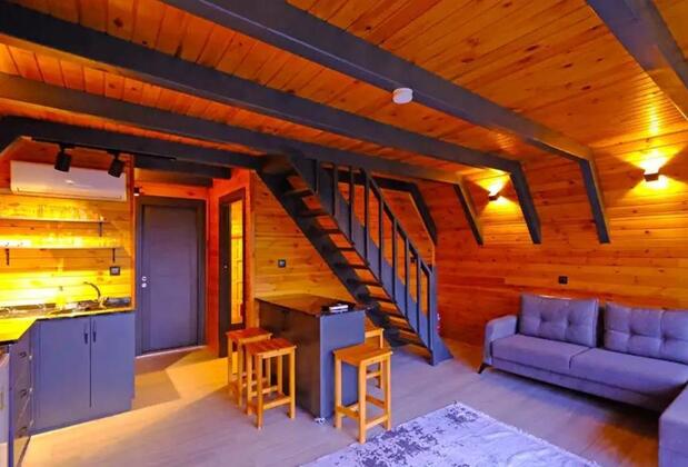 Sapanca Cbc Plus Bungalov - Görsel 10