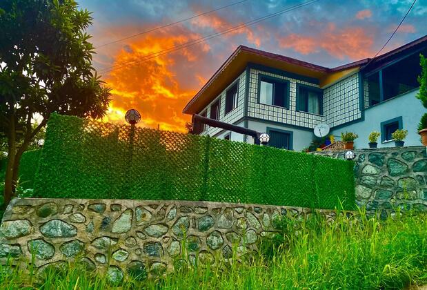 Rino Hauss - Görsel 14