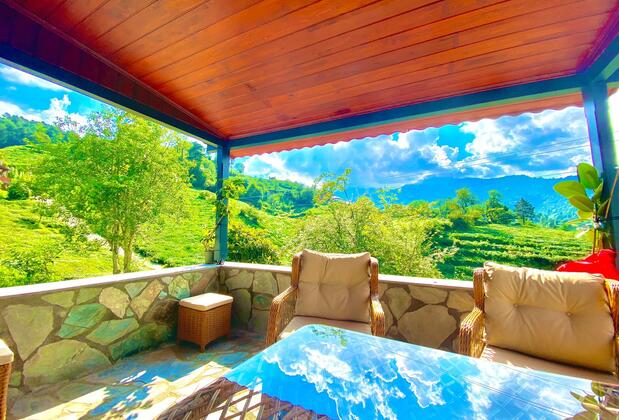 Rino Hauss - Görsel 18