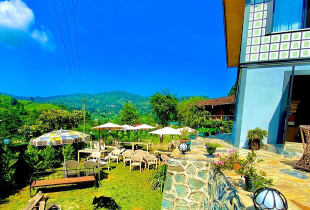 Rino Hauss - Görsel 15