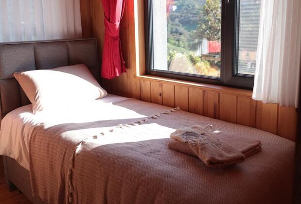 Rino Hauss - Görsel 5