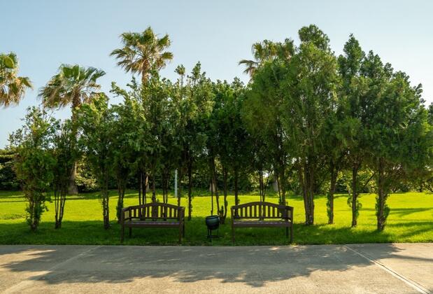 Aqi Pegasos World - Görsel 13