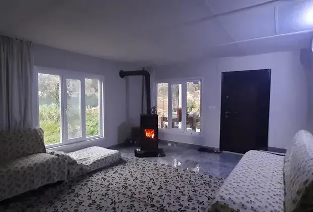 Gelidonia Fenerium - Görsel 3