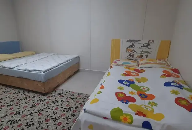 Gelidonia Fenerium - Görsel 5