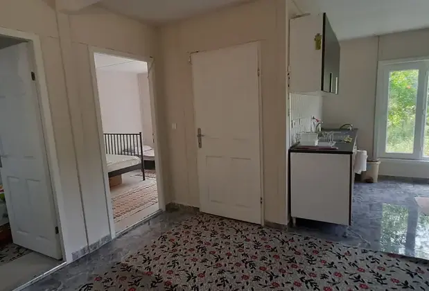 Gelidonia Fenerium - Görsel 8