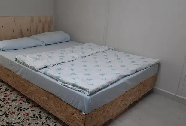 Gelidonia Fenerium - Görsel 6