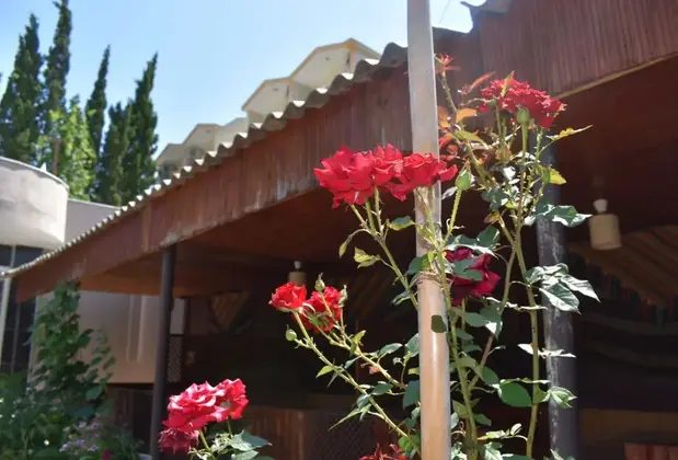 Terko Pansiyon - Görsel 3