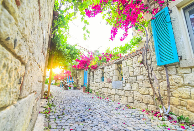 Alaçatı Asmalı Konak Otel - Görsel 26