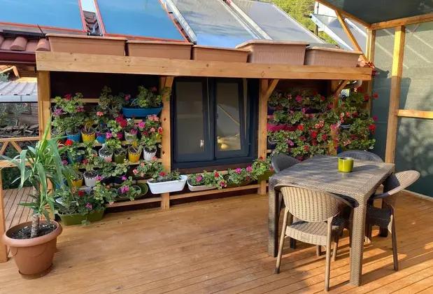 Sardunya Ev - Görsel 4