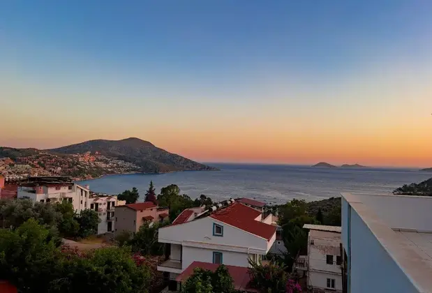 Seahorse Kalkan - Görsel 8