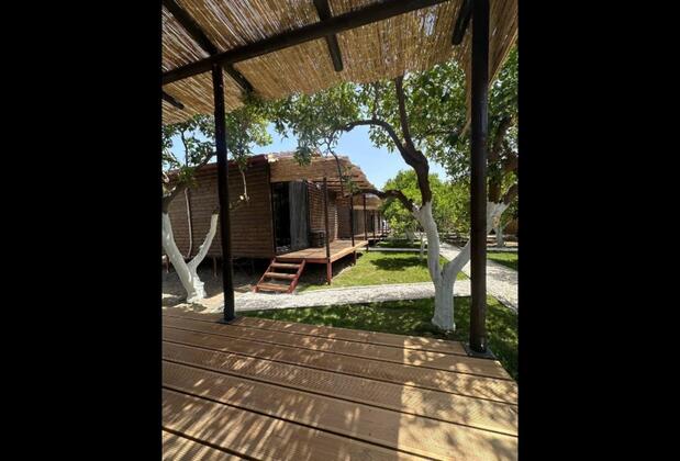 Orange Garden Tree Houses Hotel - Görsel 7