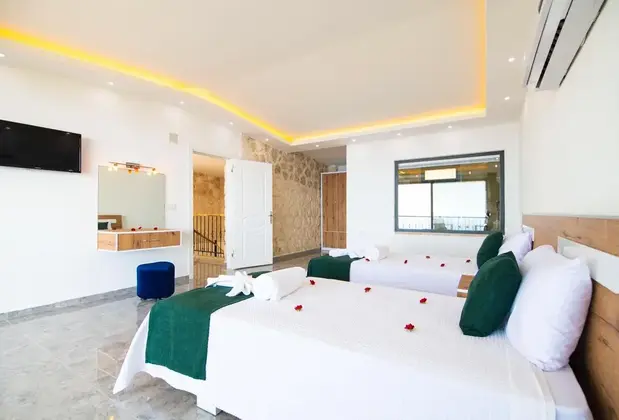 Villa Izo - Görsel 4